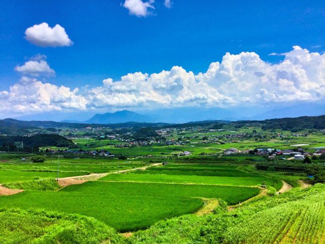 爽やかな風景